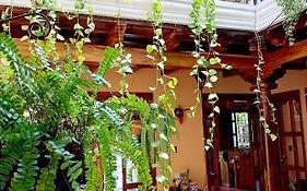 Casa De Sofia 3*